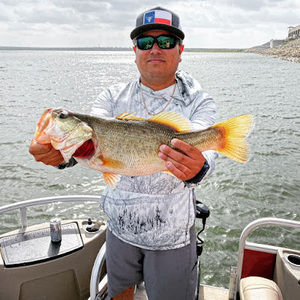 Meet your Posher, Aaron